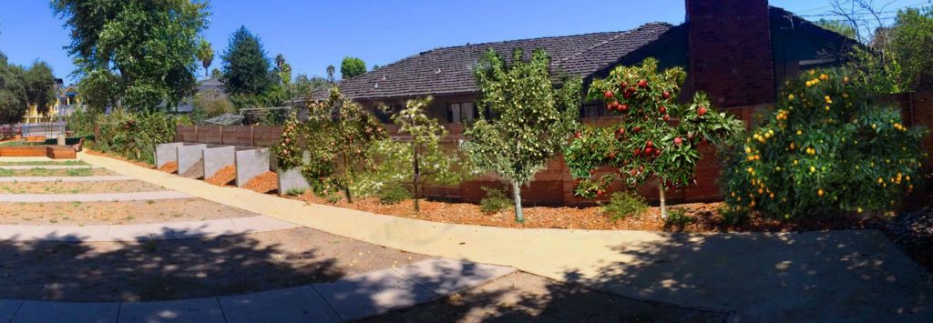 Visualization of the Riverside Gardens Park site of the Santa Cruz Community Orchard, planted 2015, imagined at maturity (Image: Seed Culture Labs)